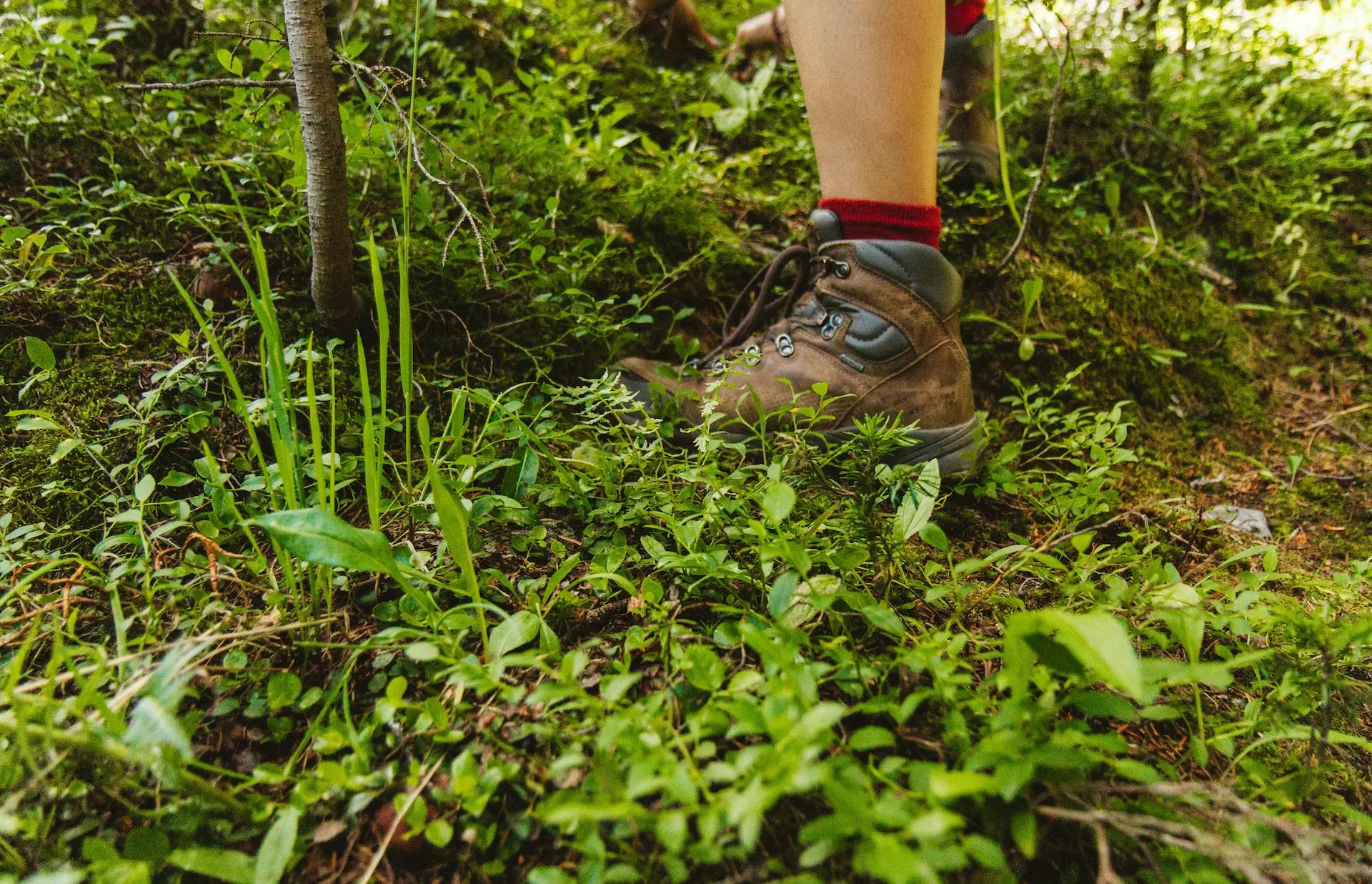 Buty trekkingowe męskie, a buty trekkingowe damskie